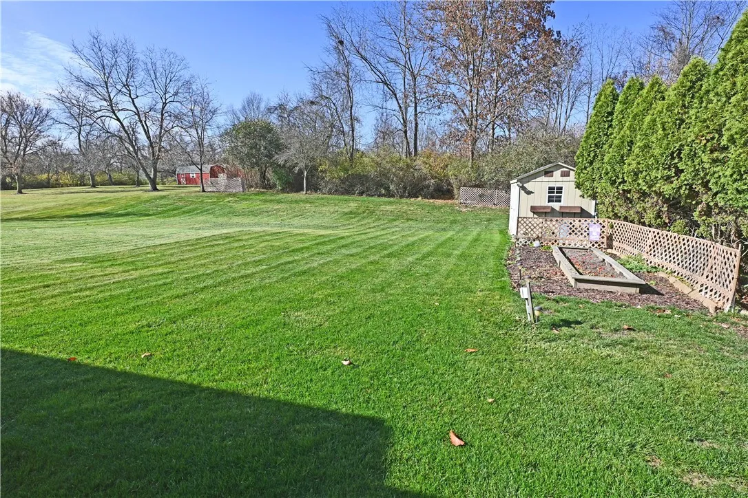 Large level bacl yard