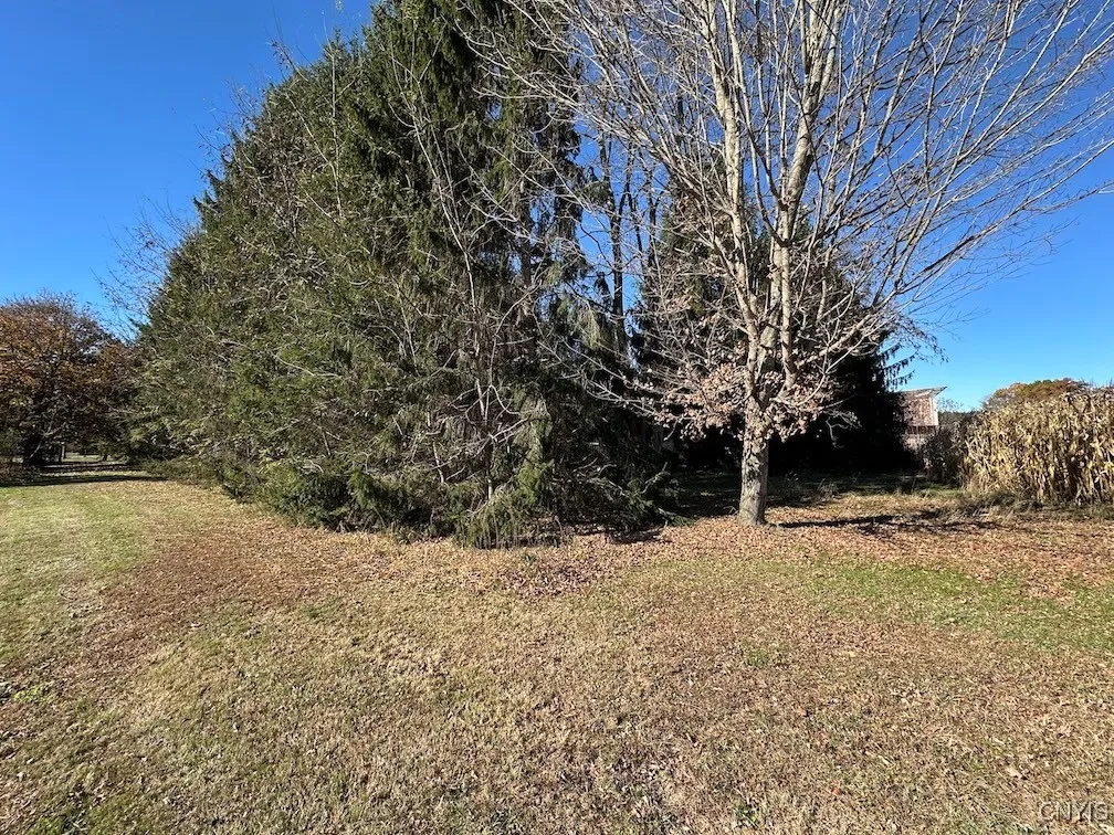 8976 State Route 19, Caneadea, New York 14717, Caneadea, New York 14717, 3 Bedrooms Bedrooms, 7 Rooms Rooms,1 BathroomBathrooms,Residential,For Sale,8976 State Route 19, Caneadea, New York 14717,0,S1648425