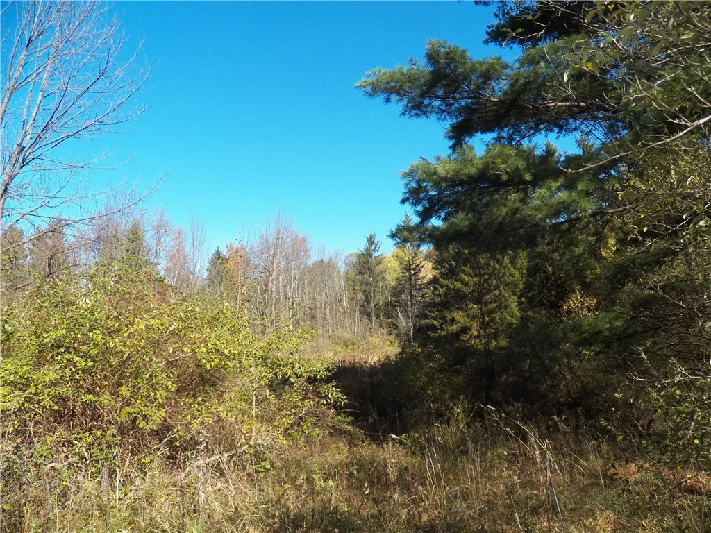 Evert Road, Bristol, New York 14469, Bristol, New York 14469, ,Land,For Sale,Evert Road, Bristol, New York 14469,0,R1648348