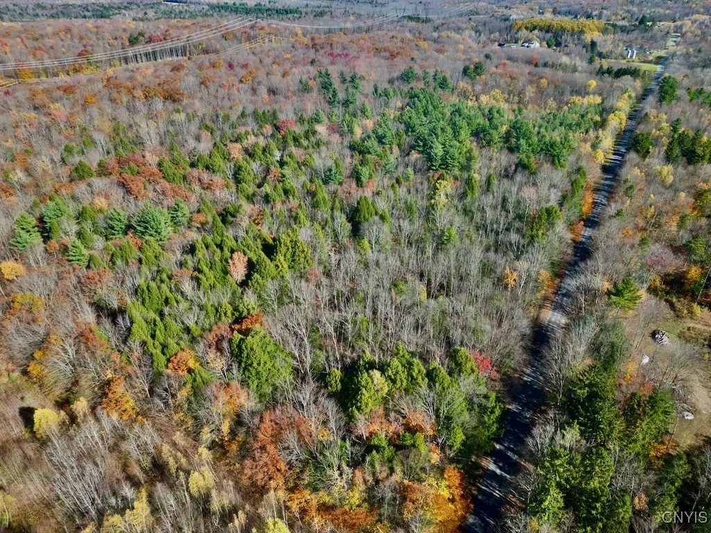 2836 Us Route 11, Mexico, New York 13131, Mexico, New York 13131, ,Land,For Sale,2836 Us Route 11, Mexico, New York 13131,0,S1645530