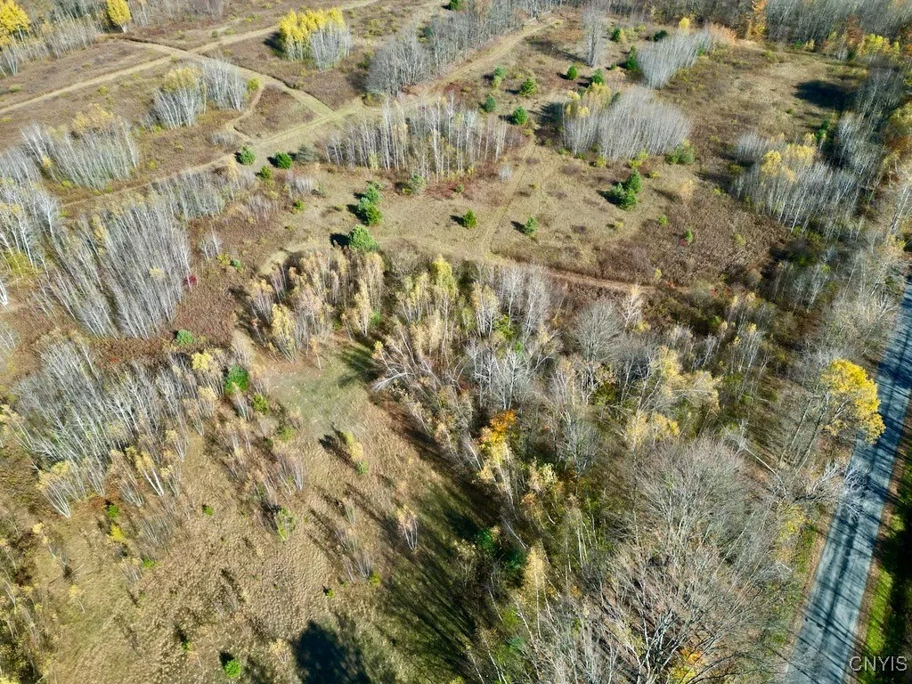 2836 Us Route 11, Mexico, New York 13131, Mexico, New York 13131, ,Land,For Sale,2836 Us Route 11, Mexico, New York 13131,0,S1645530