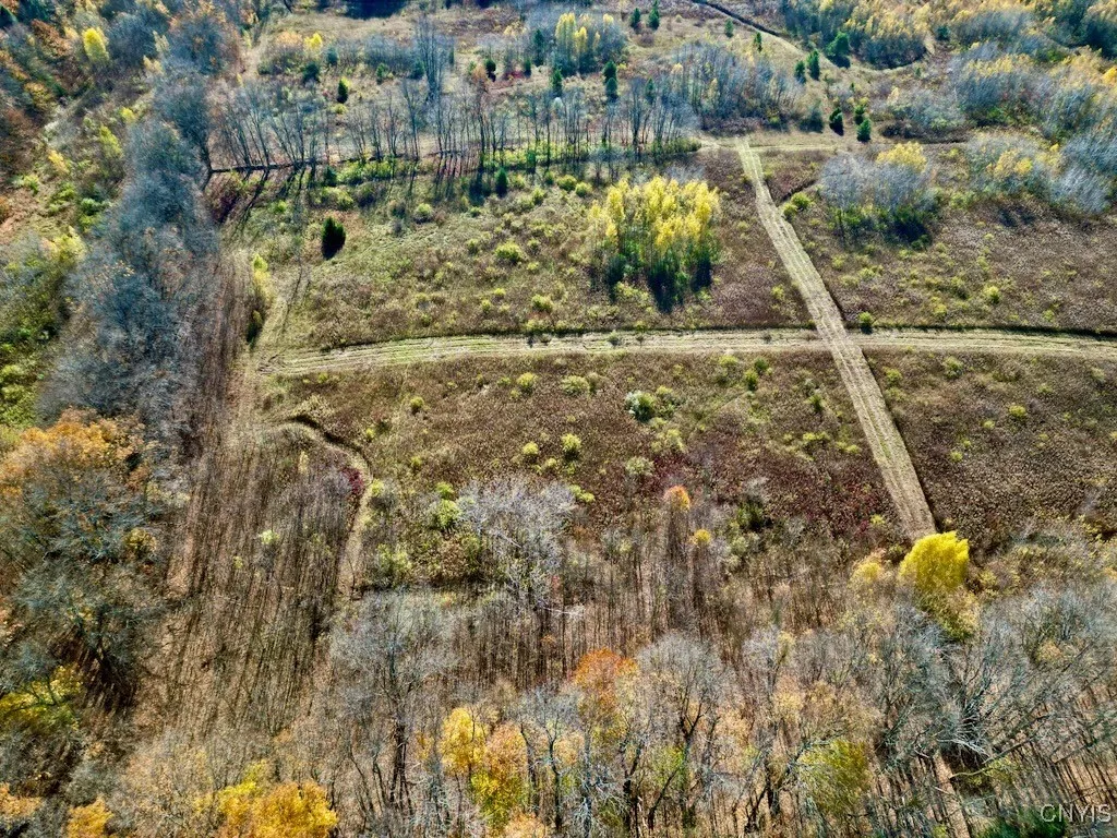 2836 Us Route 11, Mexico, New York 13131, Mexico, New York 13131, ,Land,For Sale,2836 Us Route 11, Mexico, New York 13131,0,S1645530