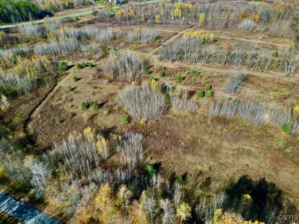 2836 Us Route 11, Mexico, New York 13131, Mexico, New York 13131, ,Land,For Sale,2836 Us Route 11, Mexico, New York 13131,0,S1645530