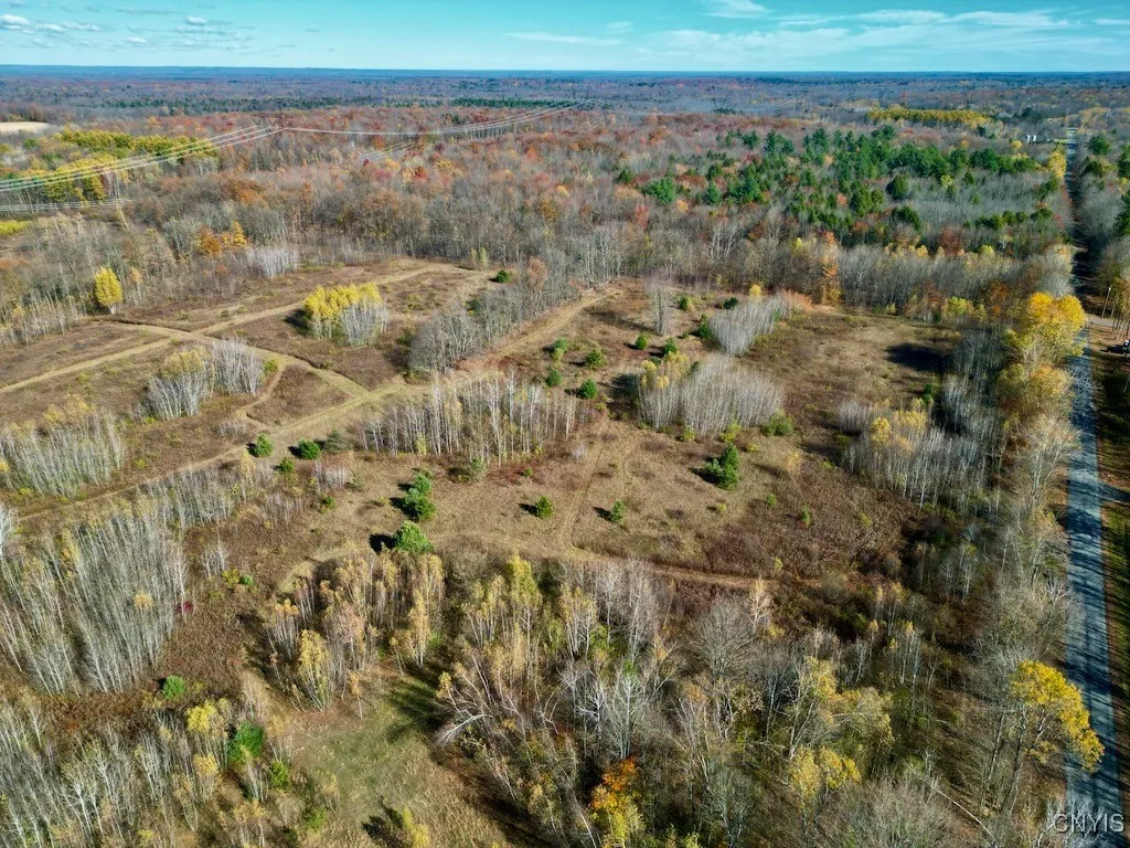 2836 Us Route 11, Mexico, New York 13131, Mexico, New York 13131, ,Land,For Sale,2836 Us Route 11, Mexico, New York 13131,0,S1645530