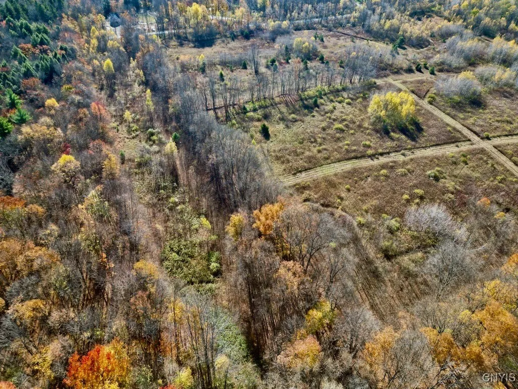 2836 Us Route 11, Mexico, New York 13131, Mexico, New York 13131, ,Land,For Sale,2836 Us Route 11, Mexico, New York 13131,0,S1645530