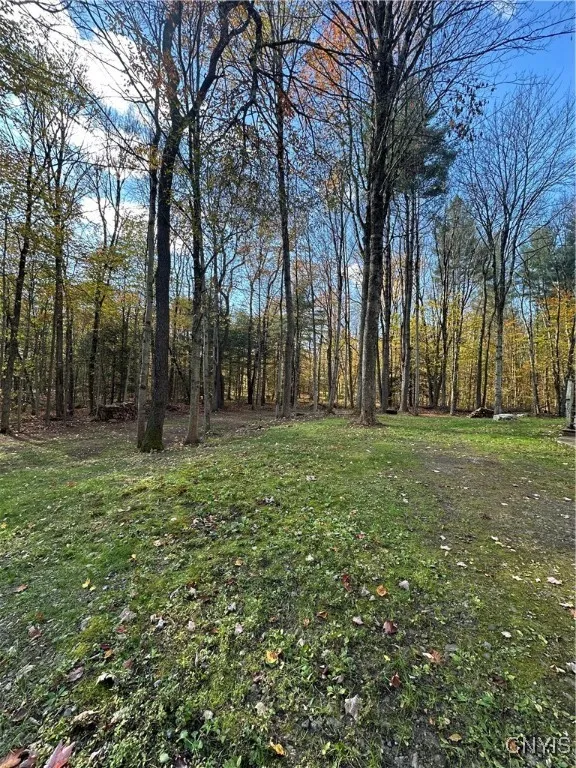 8051 Saltzman Road, Vienna, New York 13308, Vienna, New York 13308, 3 Bedrooms Bedrooms, 5 Rooms Rooms,2 BathroomsBathrooms,Residential,For Sale,8051 Saltzman Road, Vienna, New York 13308,0,S1648052
