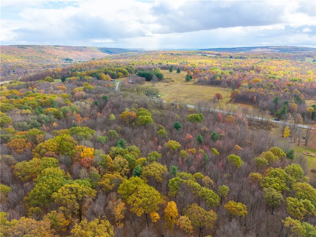 Camel Road, Conesus, New York 14435, Conesus, New York 14435, ,Land,For Sale,Camel Road, Conesus, New York 14435,0,R1647452