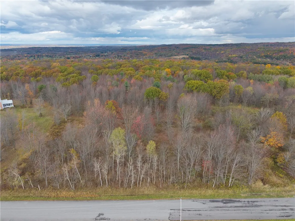 Camel Road, Conesus, New York 14435, Conesus, New York 14435, ,Land,For Sale,Camel Road, Conesus, New York 14435,0,R1647452