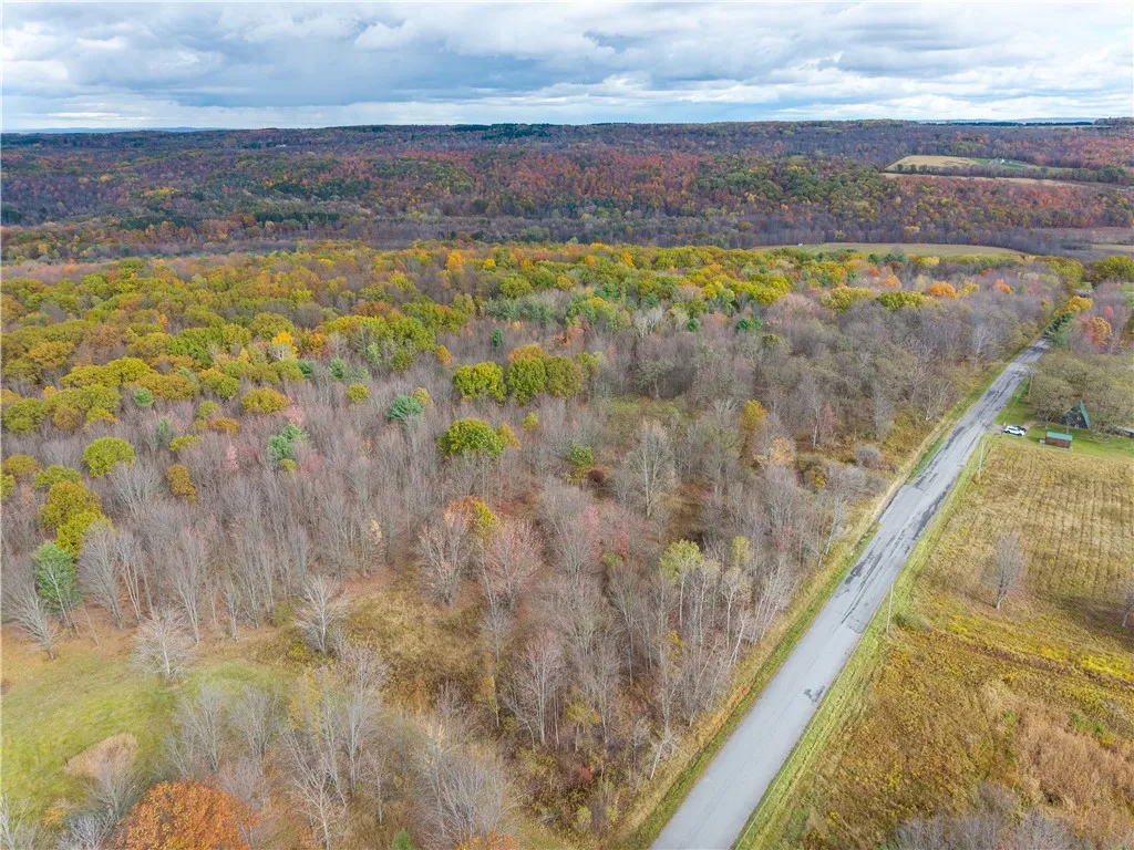 Camel Road, Conesus, New York 14435, Conesus, New York 14435, ,Land,For Sale,Camel Road, Conesus, New York 14435,0,R1647452