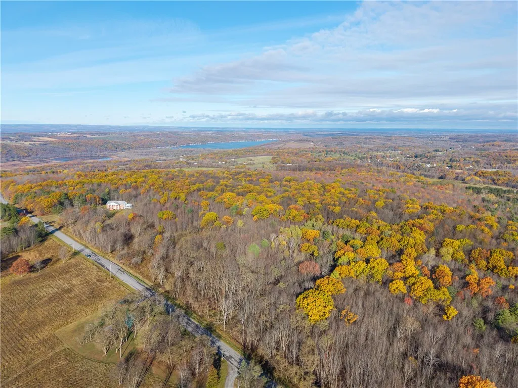 Camel Road, Conesus, New York 14435, Conesus, New York 14435, ,Land,For Sale,Camel Road, Conesus, New York 14435,0,R1647452