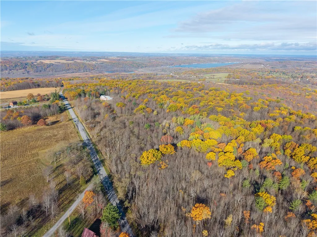 Camel Road, Conesus, New York 14435, Conesus, New York 14435, ,Land,For Sale,Camel Road, Conesus, New York 14435,0,R1647452