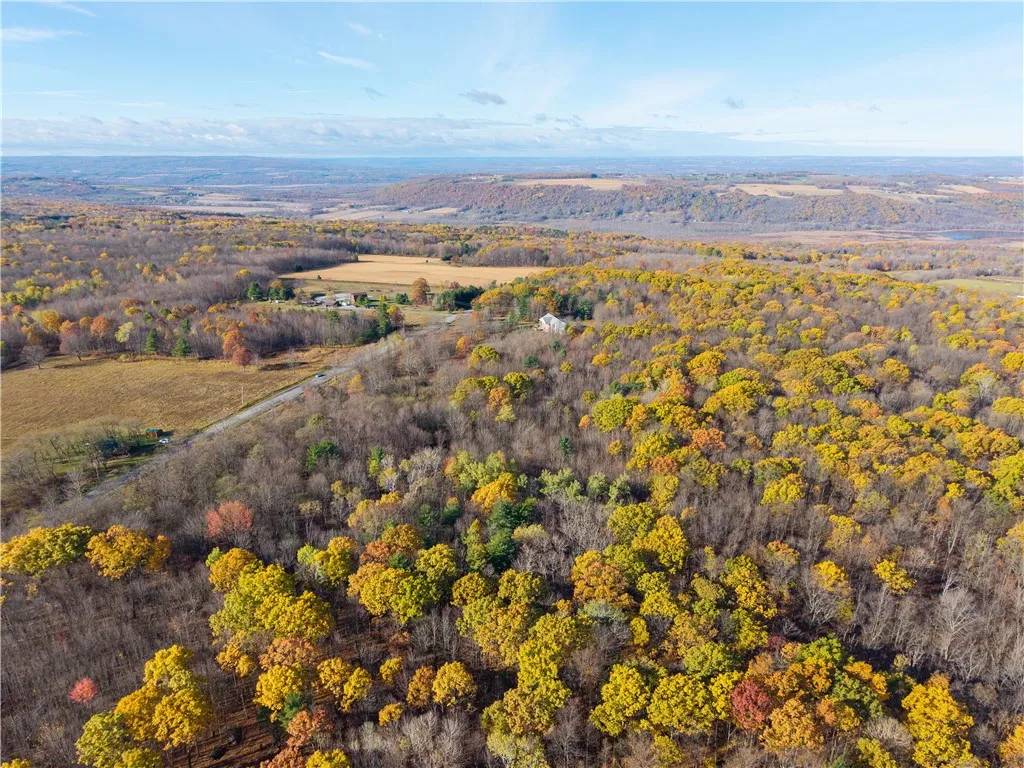 Camel Road, Conesus, New York 14435, Conesus, New York 14435, ,Land,For Sale,Camel Road, Conesus, New York 14435,0,R1647452