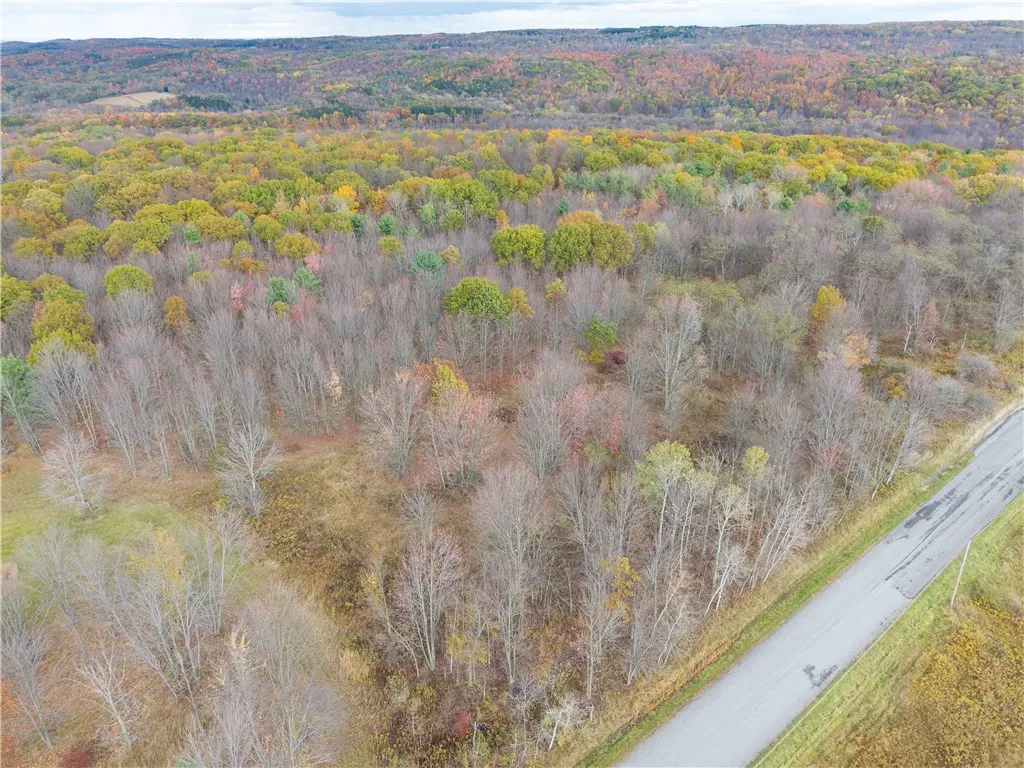 Camel Road, Conesus, New York 14435, Conesus, New York 14435, ,Land,For Sale,Camel Road, Conesus, New York 14435,0,R1647452