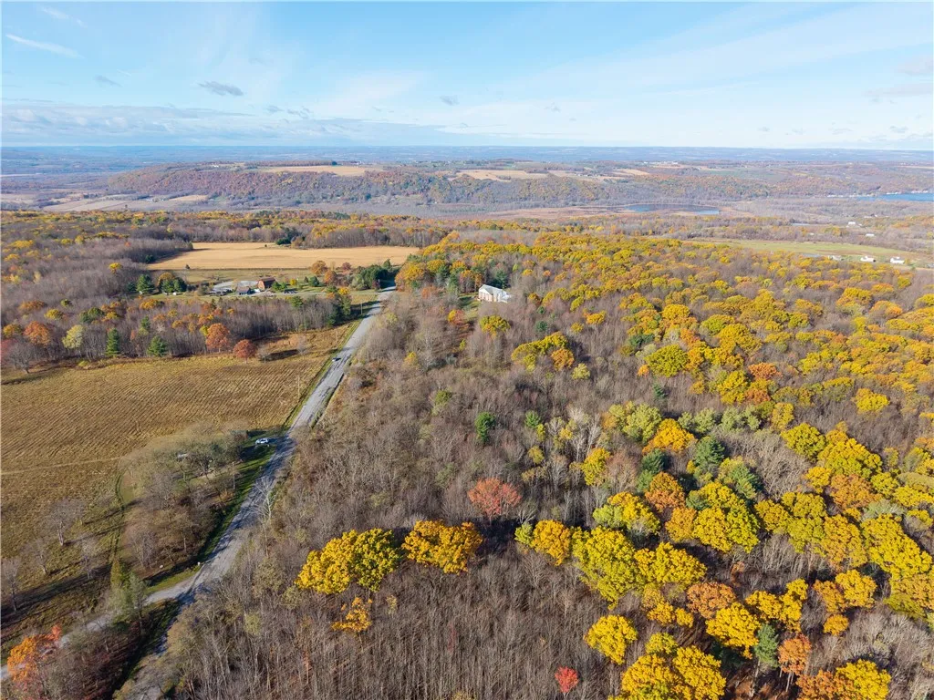 Camel Road, Conesus, New York 14435, Conesus, New York 14435, ,Land,For Sale,Camel Road, Conesus, New York 14435,0,R1647452