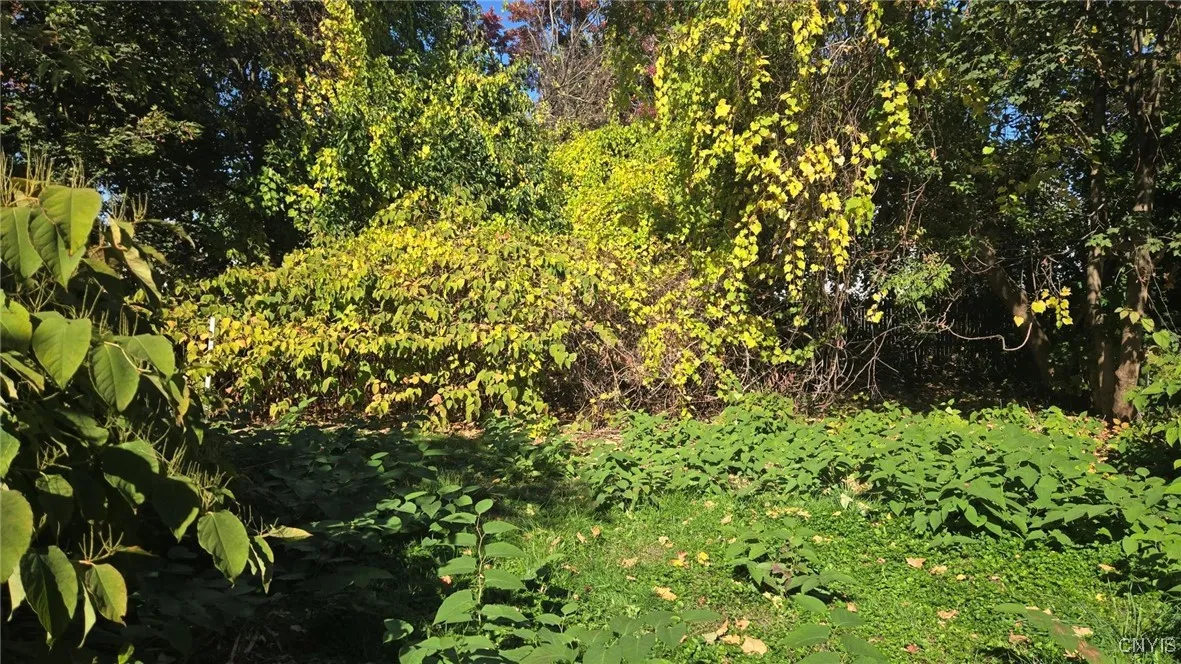 220 West Ellis Street, Dewitt, New York 13057, De Witt, New York 13057, 3 Bedrooms Bedrooms, 5 Rooms Rooms,1 BathroomBathrooms,Residential,For Sale,220 West Ellis Street, Dewitt, New York 13057,0,S1648520