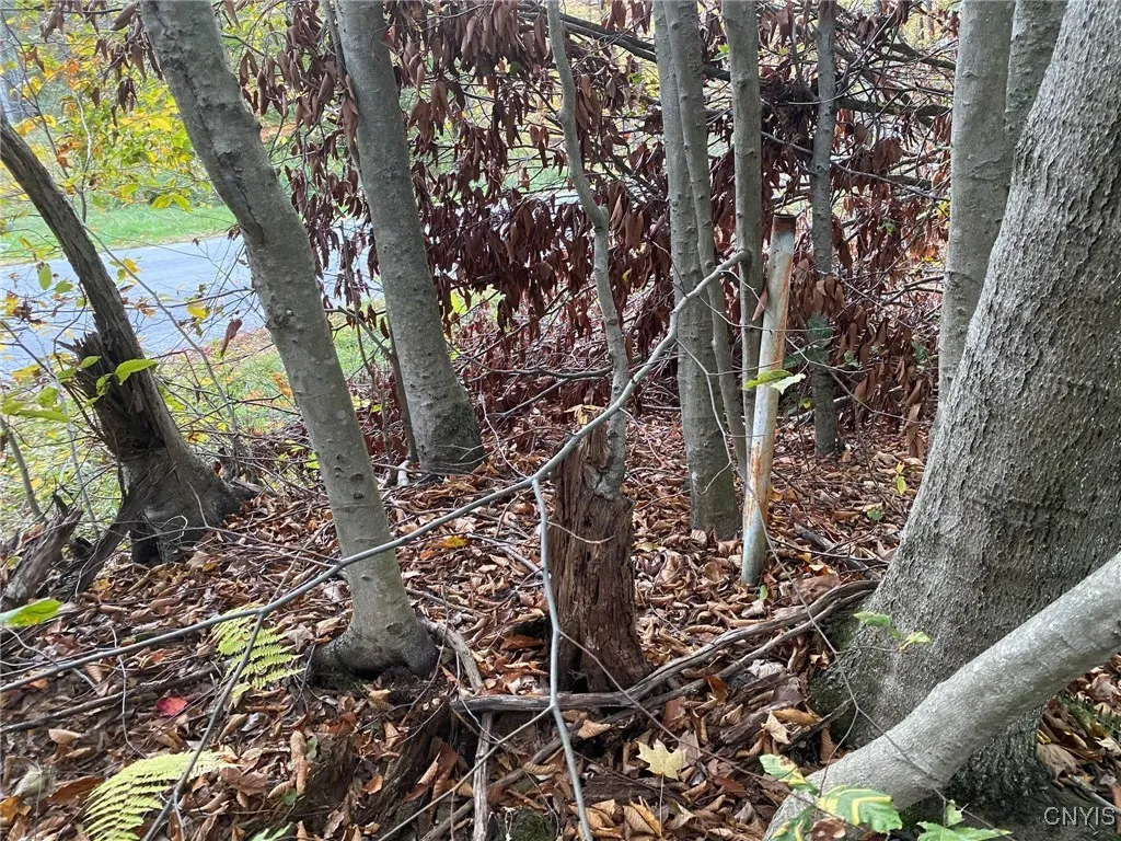 Southeast Corner Pipe