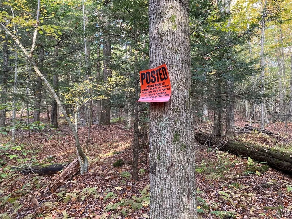 Posted Boundary Tree