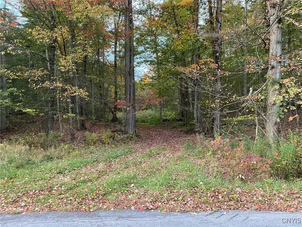 Voorhees Road, Parish, New York 13131, Parish, New York 13131, ,Land,For Sale,Voorhees Road, Parish, New York 13131,0,S1648650