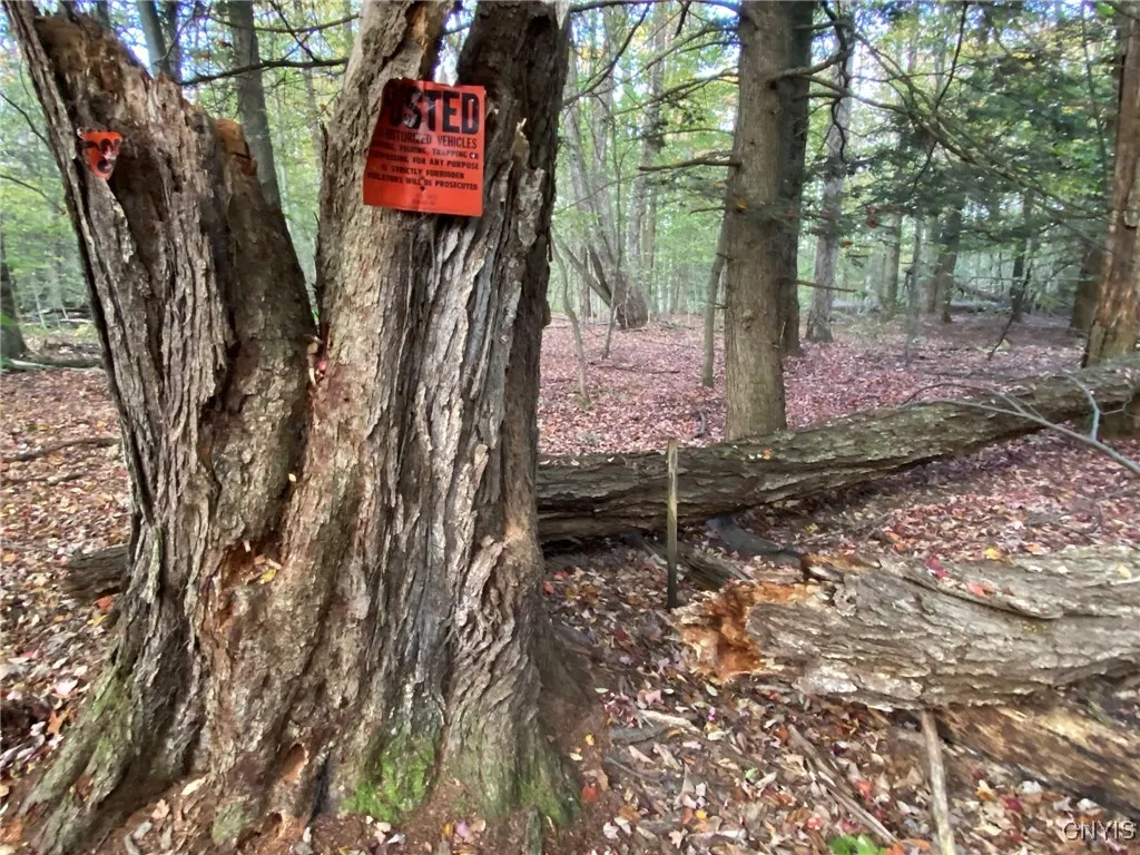 Northeast Corner Pipe