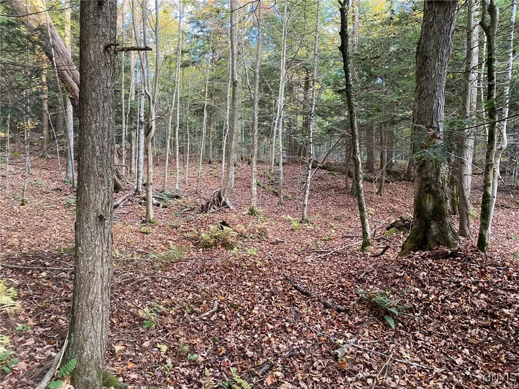 Hemlock & Hardwoods