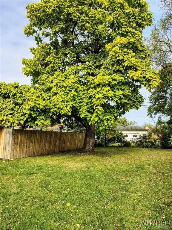 Partially-fenced yard with mature trees