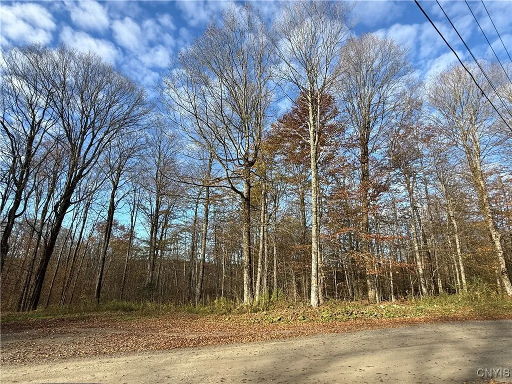 00 Magpie Lane, Truxton, New York 13158, Truxton, New York 13158, ,Land,For Sale,00 Magpie Lane, Truxton, New York 13158,0,S1647922