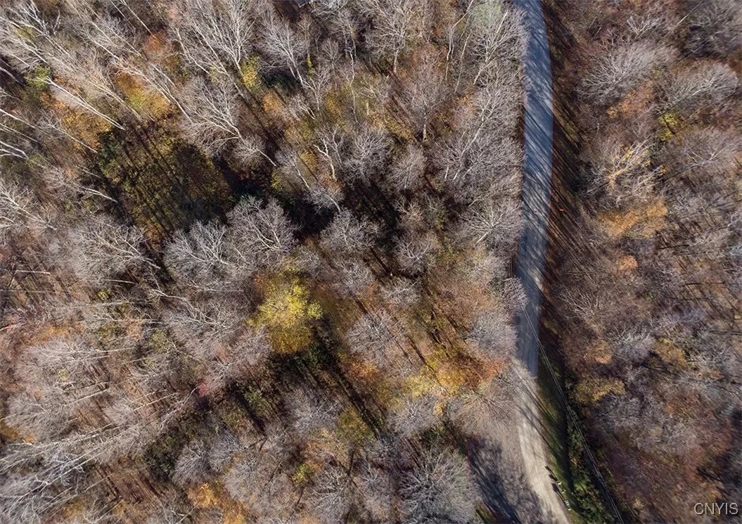 00 Magpie Lane, Truxton, New York 13158, Truxton, New York 13158, ,Land,For Sale,00 Magpie Lane, Truxton, New York 13158,0,S1647922