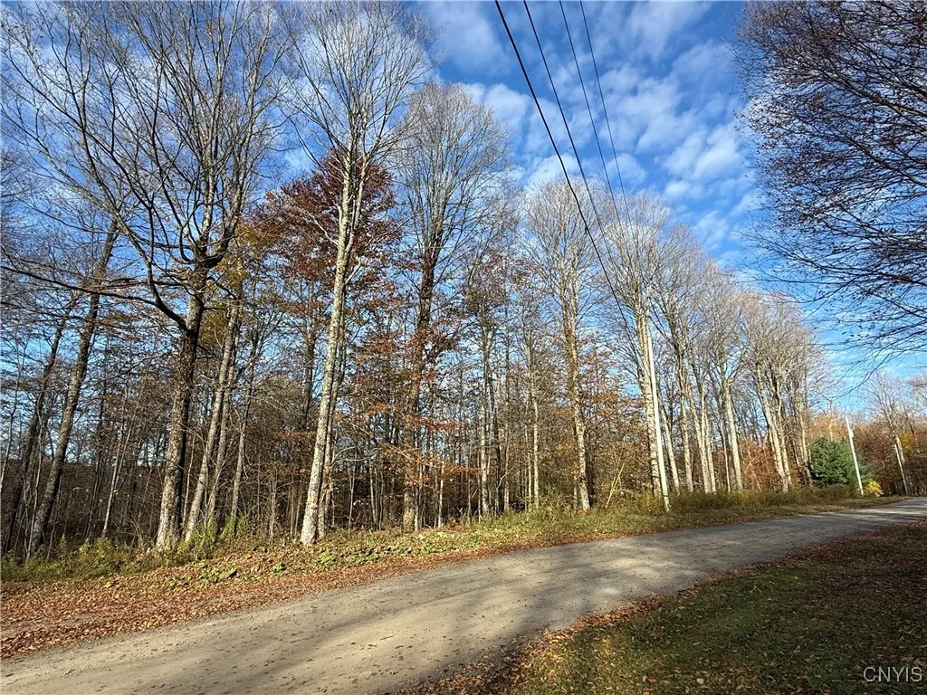 00 Magpie Lane, Truxton, New York 13158, Truxton, New York 13158, ,Land,For Sale,00 Magpie Lane, Truxton, New York 13158,0,S1647922