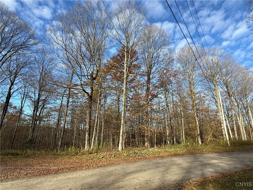 00 Magpie Lane, Truxton, New York 13158, Truxton, New York 13158, ,Land,For Sale,00 Magpie Lane, Truxton, New York 13158,0,S1647922