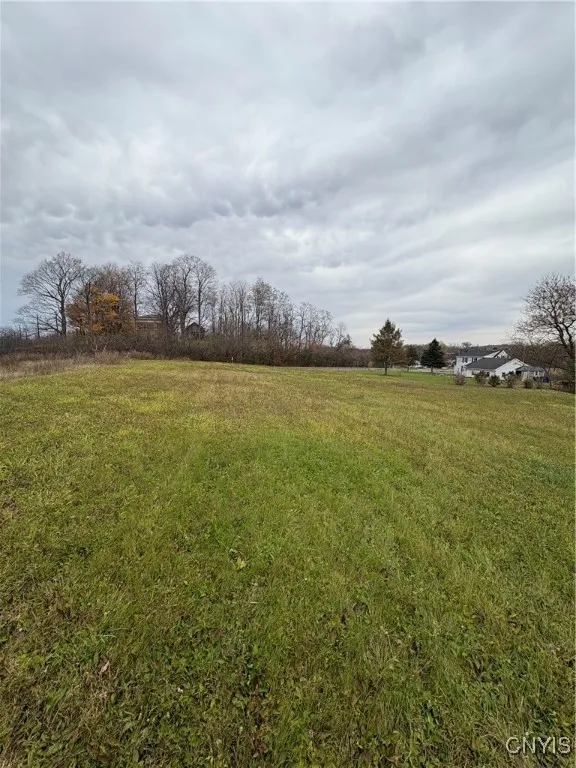 7321 Potter Road, Throop, New York 13021, Throop, New York 13021, ,Land,For Sale,7321 Potter Road, Throop, New York 13021,0,S1648742