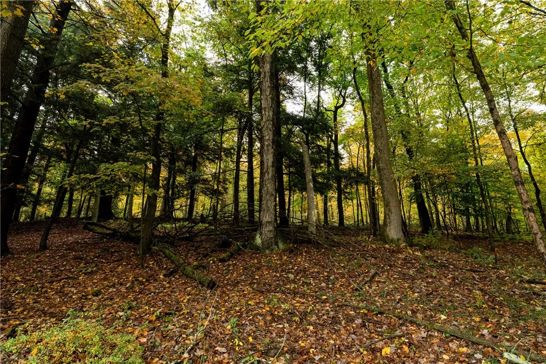 20 Park Place, Delhi, New York 13753, Delhi, New York 13753, 4 Bedrooms Bedrooms, ,2 BathroomsBathrooms,Land,For Sale,20 Park Place, Delhi, New York 13753,0,R1648782