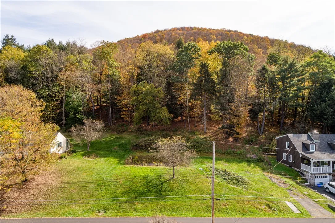 20 Park Place, Delhi, New York 13753, Delhi, New York 13753, 4 Bedrooms Bedrooms, ,2 BathroomsBathrooms,Land,For Sale,20 Park Place, Delhi, New York 13753,0,R1648782