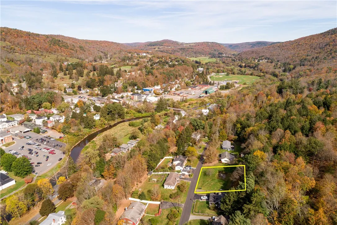 20 Park Place, Delhi, New York 13753, Delhi, New York 13753, 4 Bedrooms Bedrooms, ,2 BathroomsBathrooms,Land,For Sale,20 Park Place, Delhi, New York 13753,0,R1648782