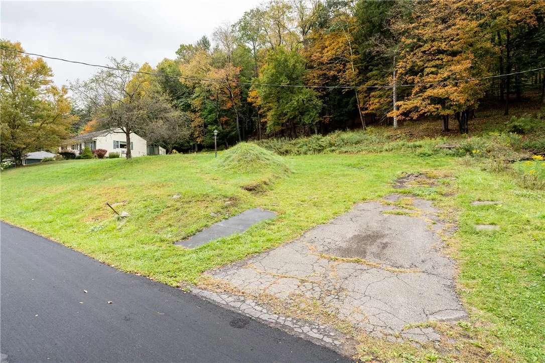 20 Park Place, Delhi, New York 13753, Delhi, New York 13753, 4 Bedrooms Bedrooms, ,2 BathroomsBathrooms,Land,For Sale,20 Park Place, Delhi, New York 13753,0,R1648782