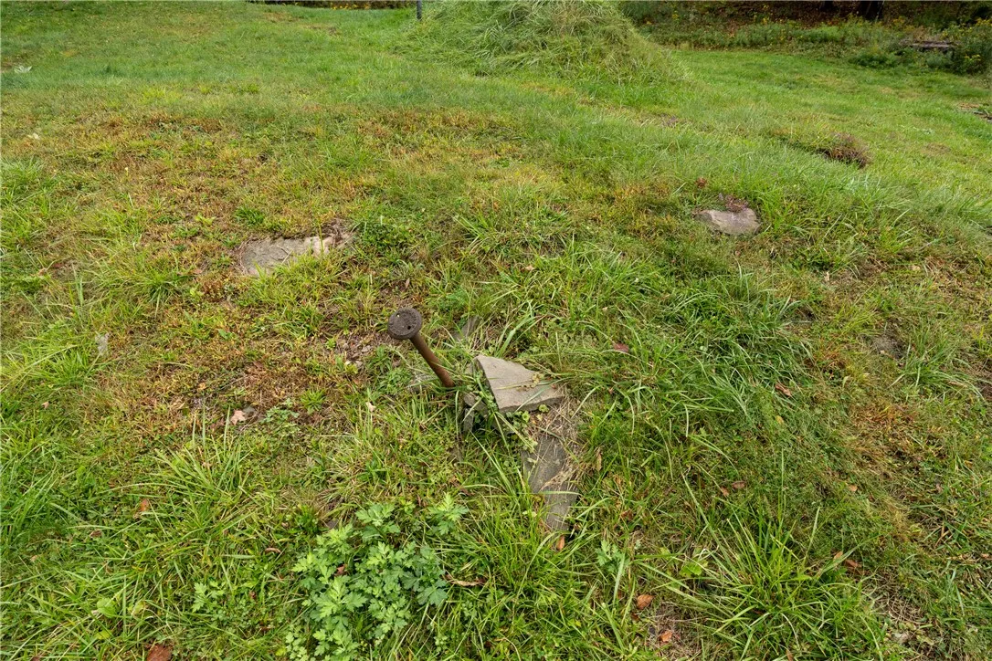 20 Park Place, Delhi, New York 13753, Delhi, New York 13753, 4 Bedrooms Bedrooms, ,2 BathroomsBathrooms,Land,For Sale,20 Park Place, Delhi, New York 13753,0,R1648782