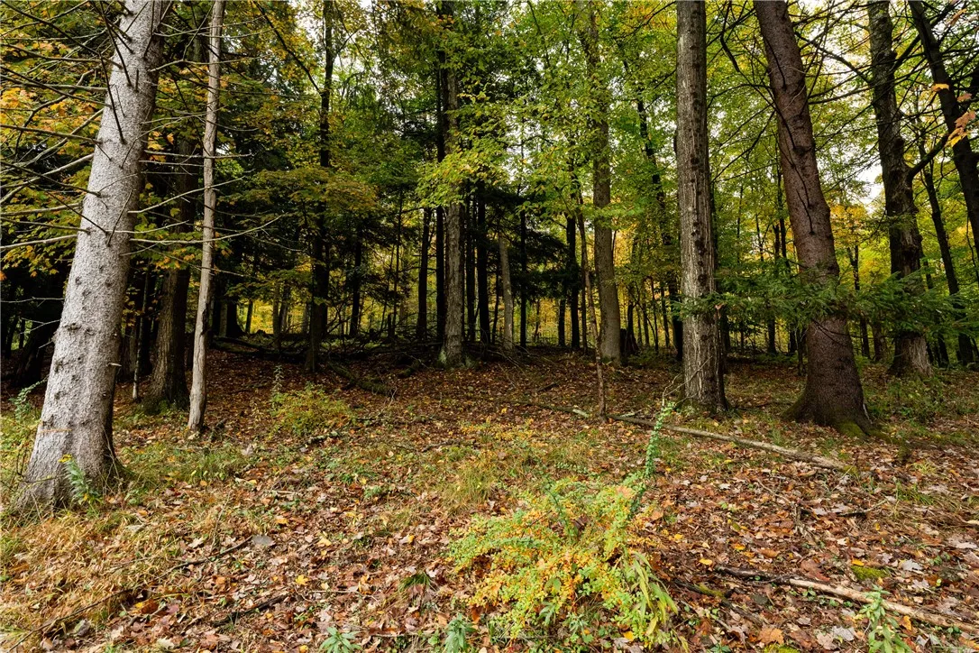 20 Park Place, Delhi, New York 13753, Delhi, New York 13753, 4 Bedrooms Bedrooms, ,2 BathroomsBathrooms,Land,For Sale,20 Park Place, Delhi, New York 13753,0,R1648782