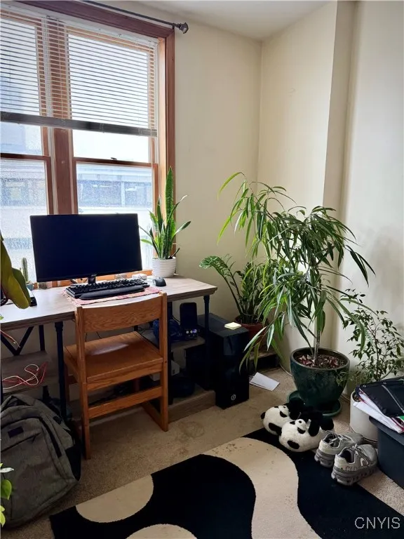 11 Clinton Avenue, Cortland, New York 13045, Cortland, New York 13045, 5 Bedrooms Bedrooms, ,Multi Family,For Sale,11 Clinton Avenue, Cortland, New York 13045,0,S1648779