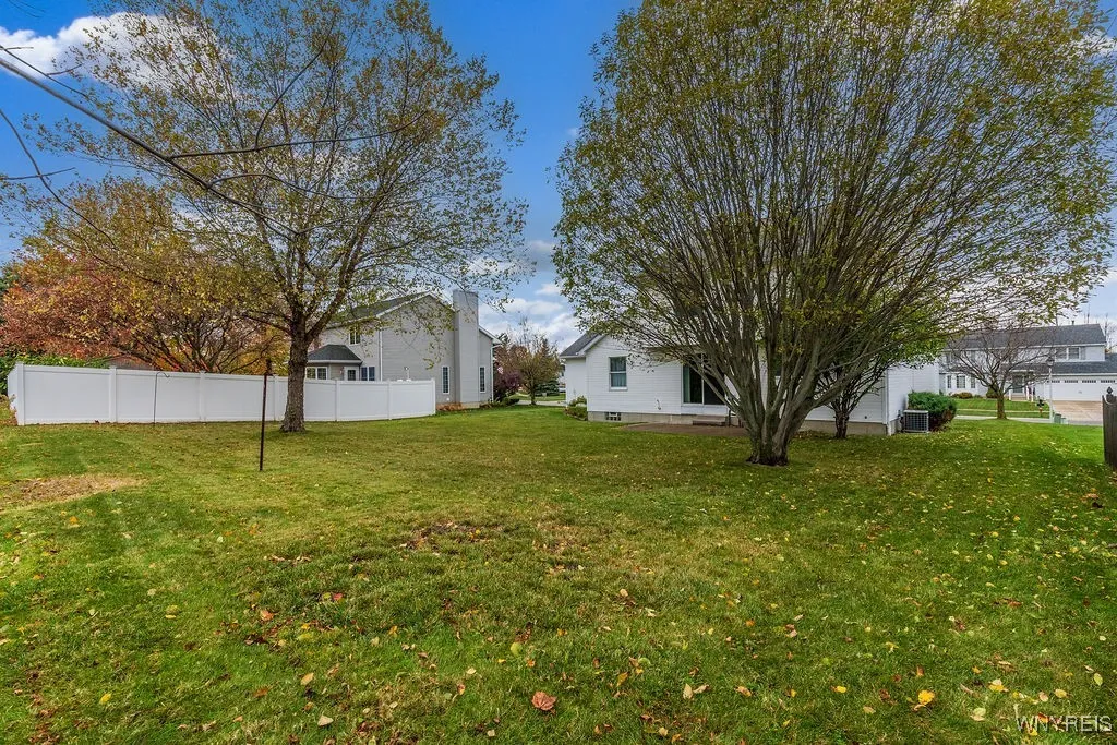 Large, flat back yard