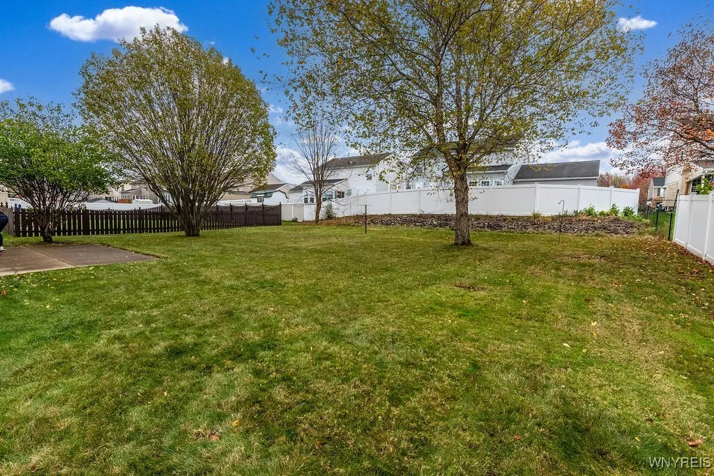 Large, flat back yard