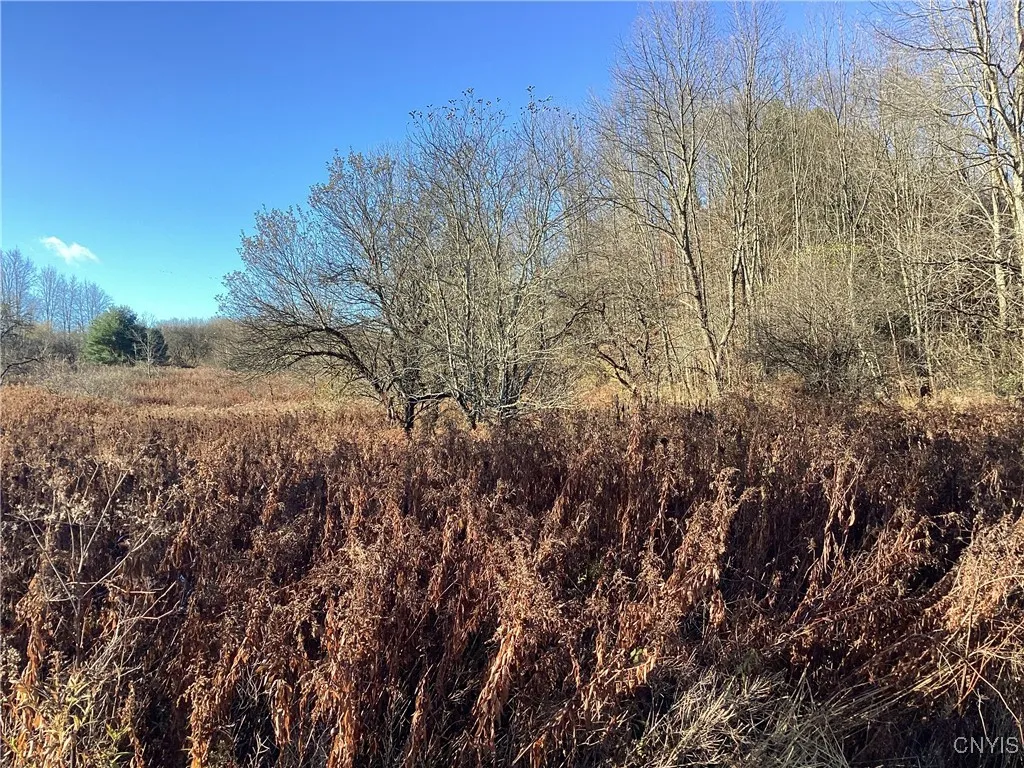 00 Blue, Deerfield, New York 13304, Deerfield, New York 13304, ,Land,For Sale,00 Blue, Deerfield, New York 13304,0,S1647993