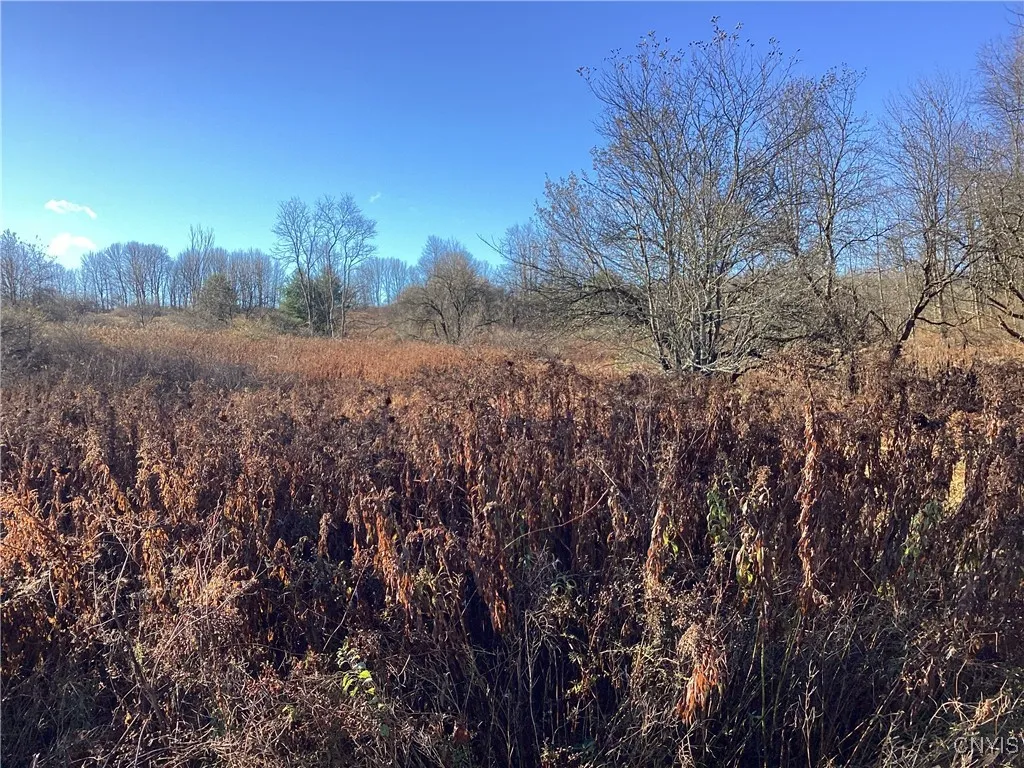 00 Blue, Deerfield, New York 13304, Deerfield, New York 13304, ,Land,For Sale,00 Blue, Deerfield, New York 13304,0,S1647993