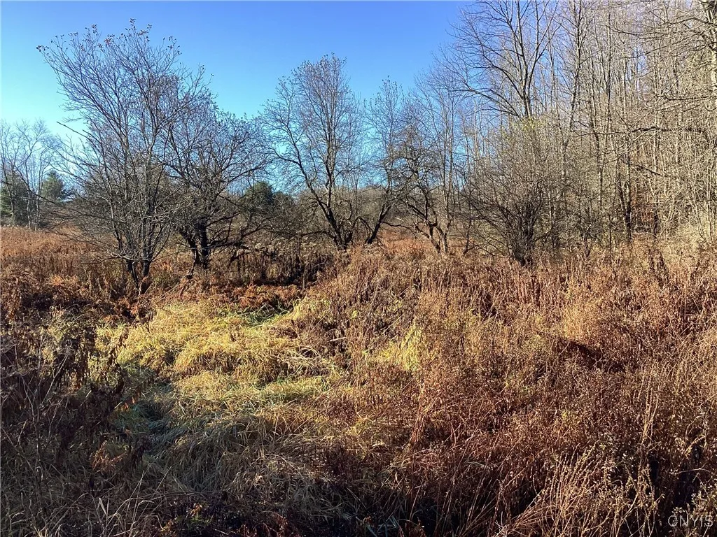 00 Blue, Deerfield, New York 13304, Deerfield, New York 13304, ,Land,For Sale,00 Blue, Deerfield, New York 13304,0,S1647993