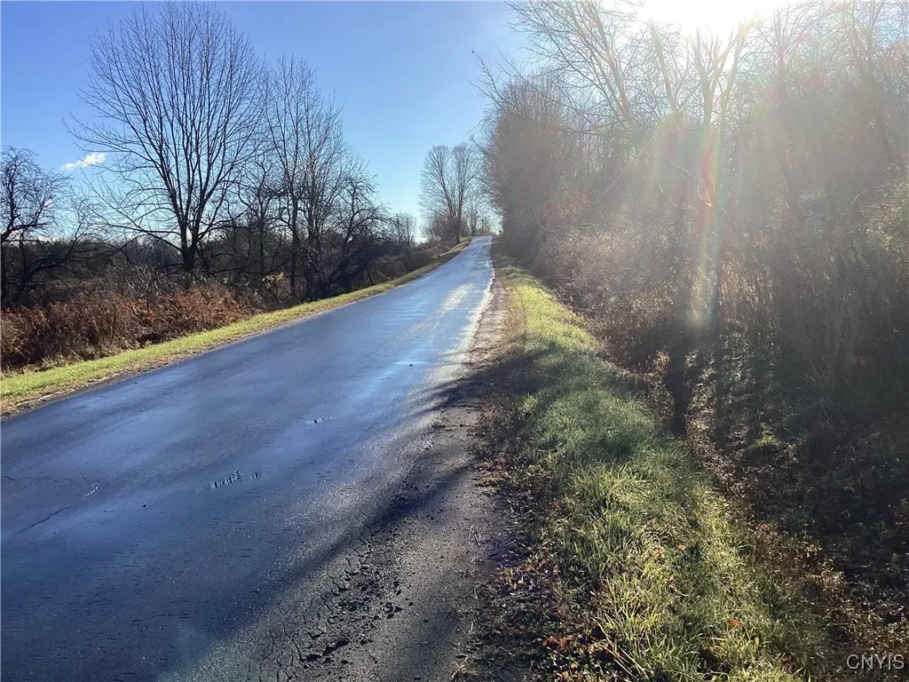 00 Blue, Deerfield, New York 13304, Deerfield, New York 13304, ,Land,For Sale,00 Blue, Deerfield, New York 13304,0,S1647993