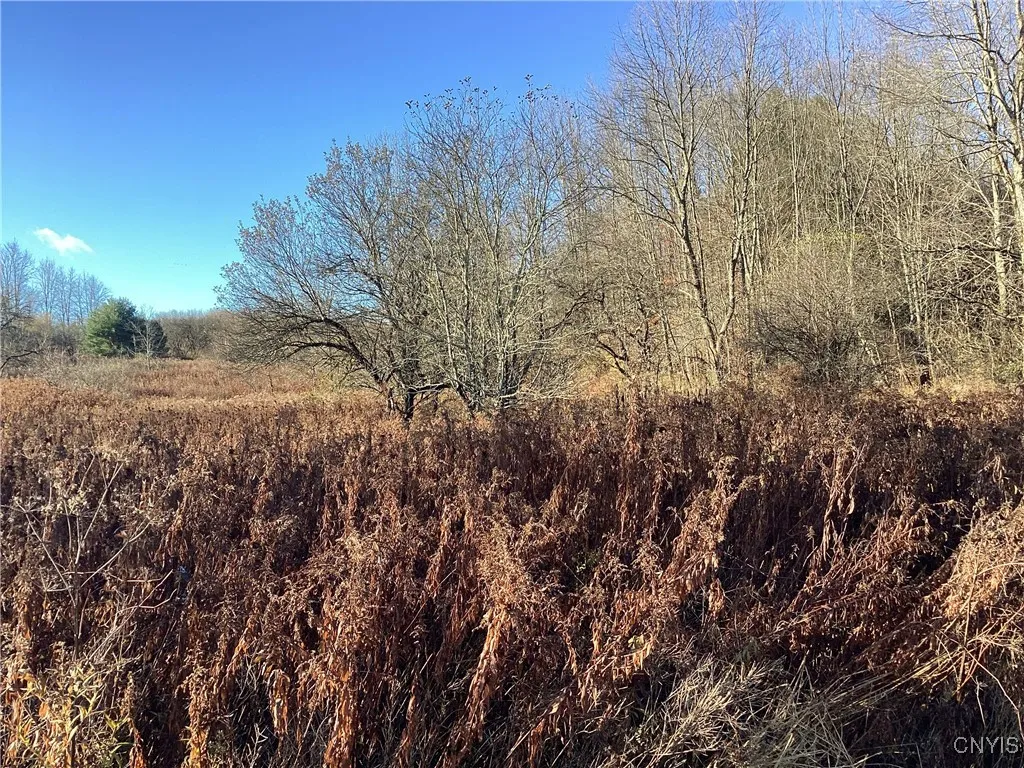 00 Blue, Deerfield, New York 13304, Deerfield, New York 13304, ,Land,For Sale,00 Blue, Deerfield, New York 13304,0,S1647993