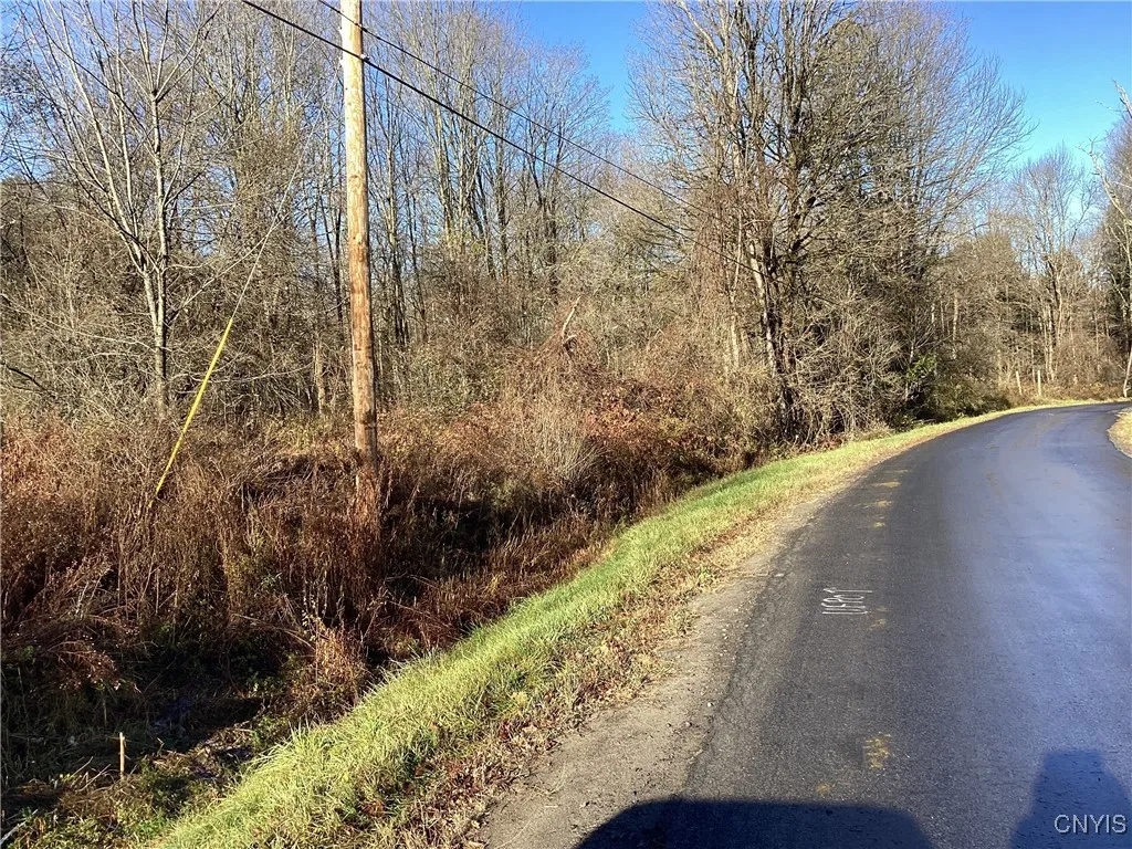 00 Blue, Deerfield, New York 13304, Deerfield, New York 13304, ,Land,For Sale,00 Blue, Deerfield, New York 13304,0,S1647993