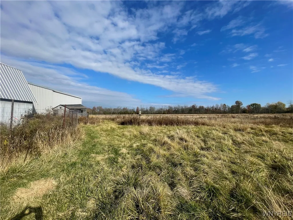 6721 Aiken Road, Pendleton, New York 14094, Pendleton, New York 14094, 4 Bedroom Bedrooms, ,2 BathroomBathrooms,Land,For Sale,6721 Aiken Road, Pendleton, New York 14094,0,B1648648
