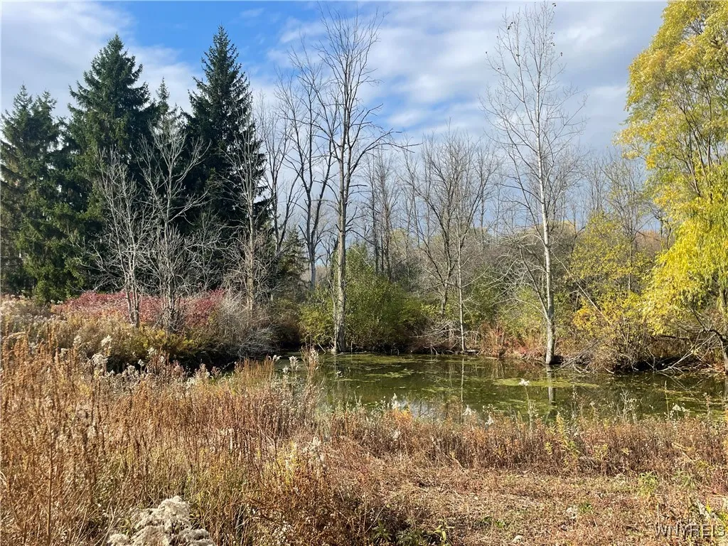 6721 Aiken Road, Pendleton, New York 14094, Pendleton, New York 14094, 4 Bedroom Bedrooms, ,2 BathroomBathrooms,Land,For Sale,6721 Aiken Road, Pendleton, New York 14094,0,B1648648