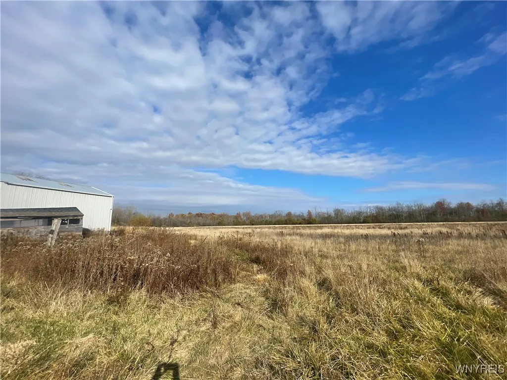 6721 Aiken Road, Pendleton, New York 14094, Pendleton, New York 14094, 4 Bedroom Bedrooms, ,2 BathroomBathrooms,Land,For Sale,6721 Aiken Road, Pendleton, New York 14094,0,B1648648