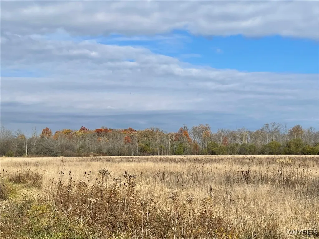 6721 Aiken Road, Pendleton, New York 14094, Pendleton, New York 14094, 4 Bedroom Bedrooms, ,2 BathroomBathrooms,Land,For Sale,6721 Aiken Road, Pendleton, New York 14094,0,B1648648