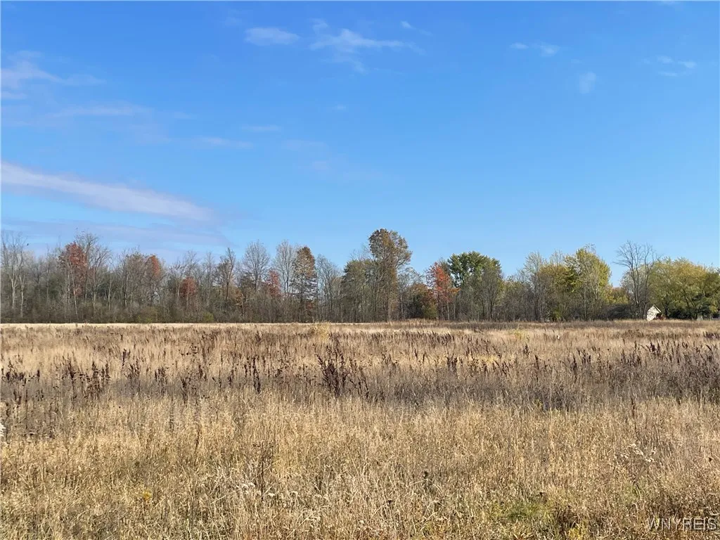 6721 Aiken Road, Pendleton, New York 14094, Pendleton, New York 14094, 4 Bedroom Bedrooms, ,2 BathroomBathrooms,Land,For Sale,6721 Aiken Road, Pendleton, New York 14094,0,B1648648